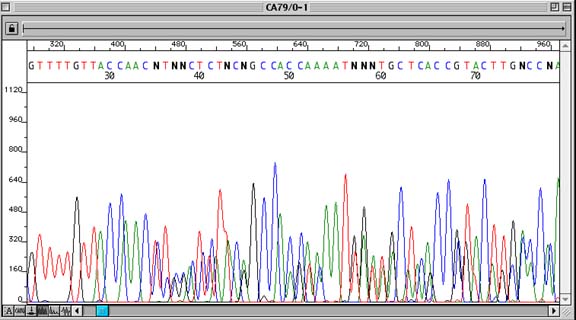 sanger sequencing chromatogram viewer